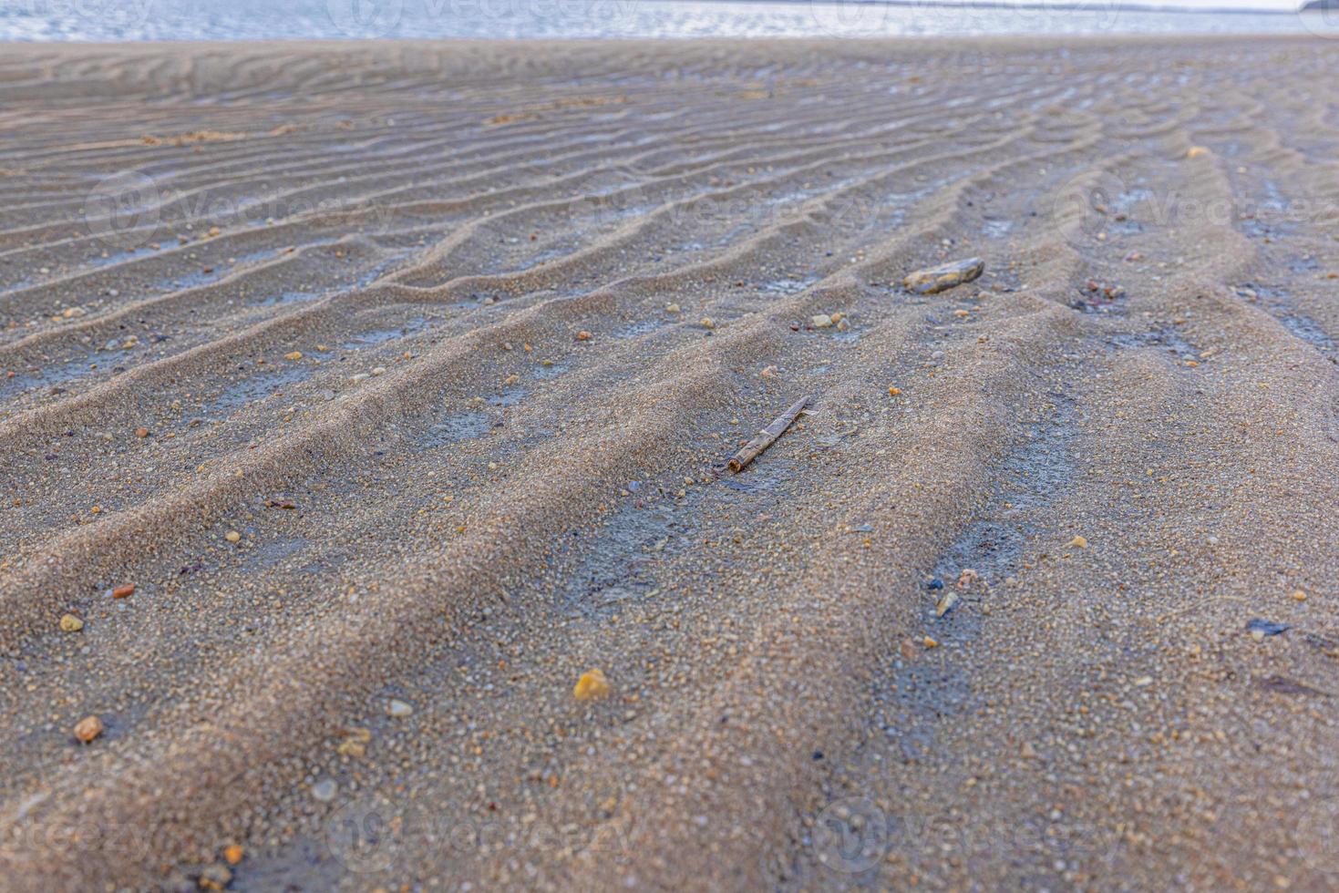 Image of shells and stones on a North Sea beach in Denmark in winter photo