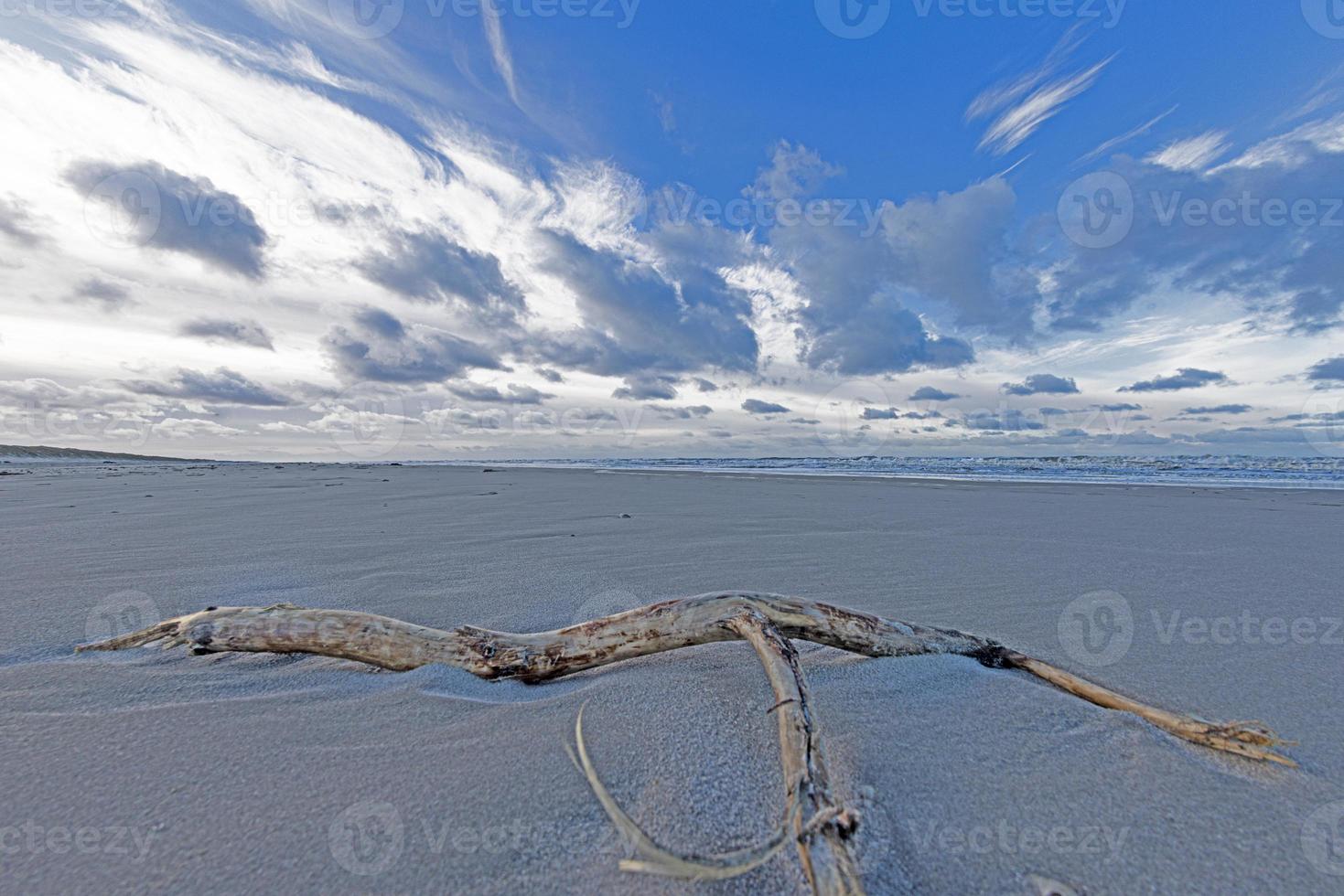 Winter image of jetsam on a North Sea beach near Vejers photo