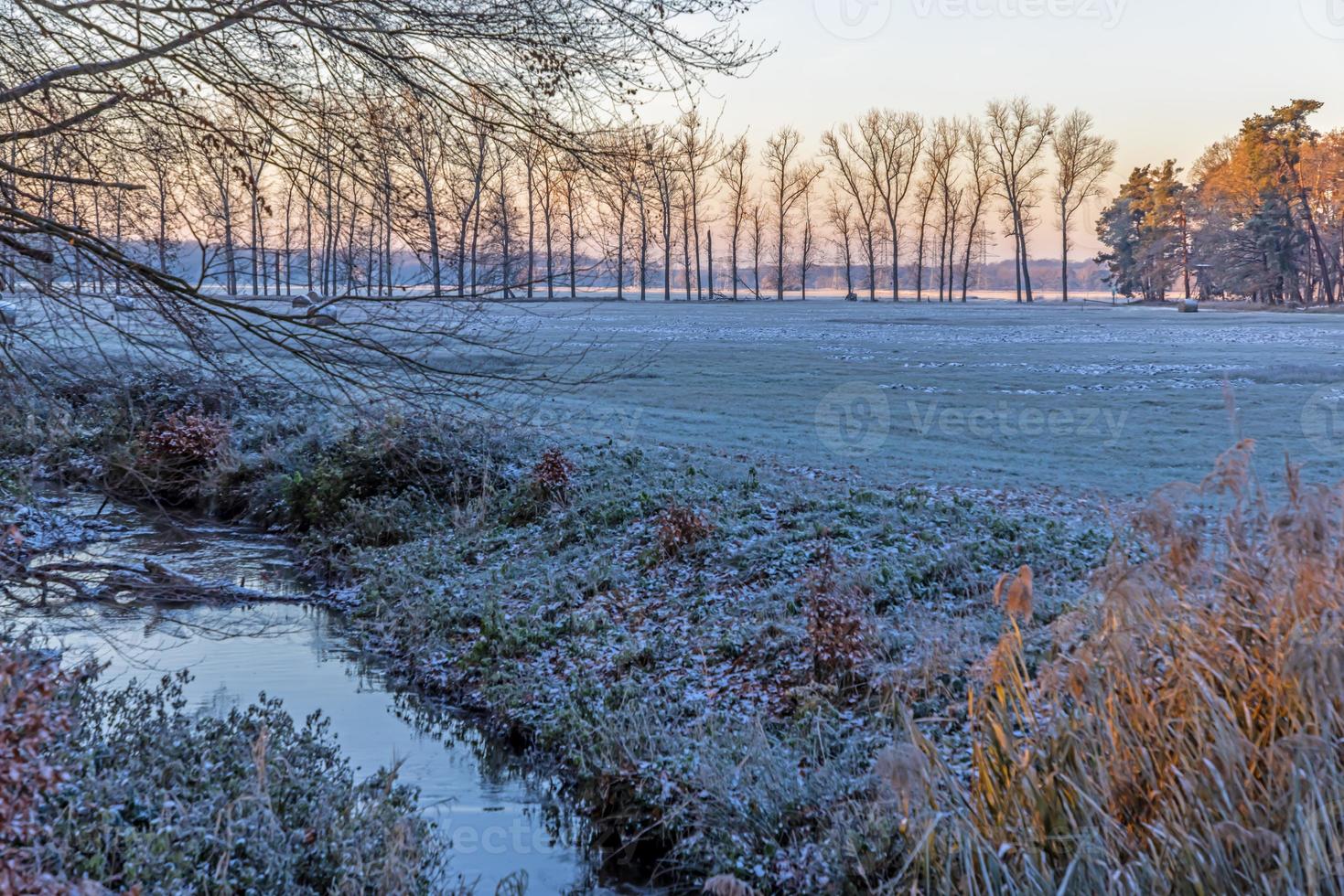 Image of a stream flowing through a winter forest photo