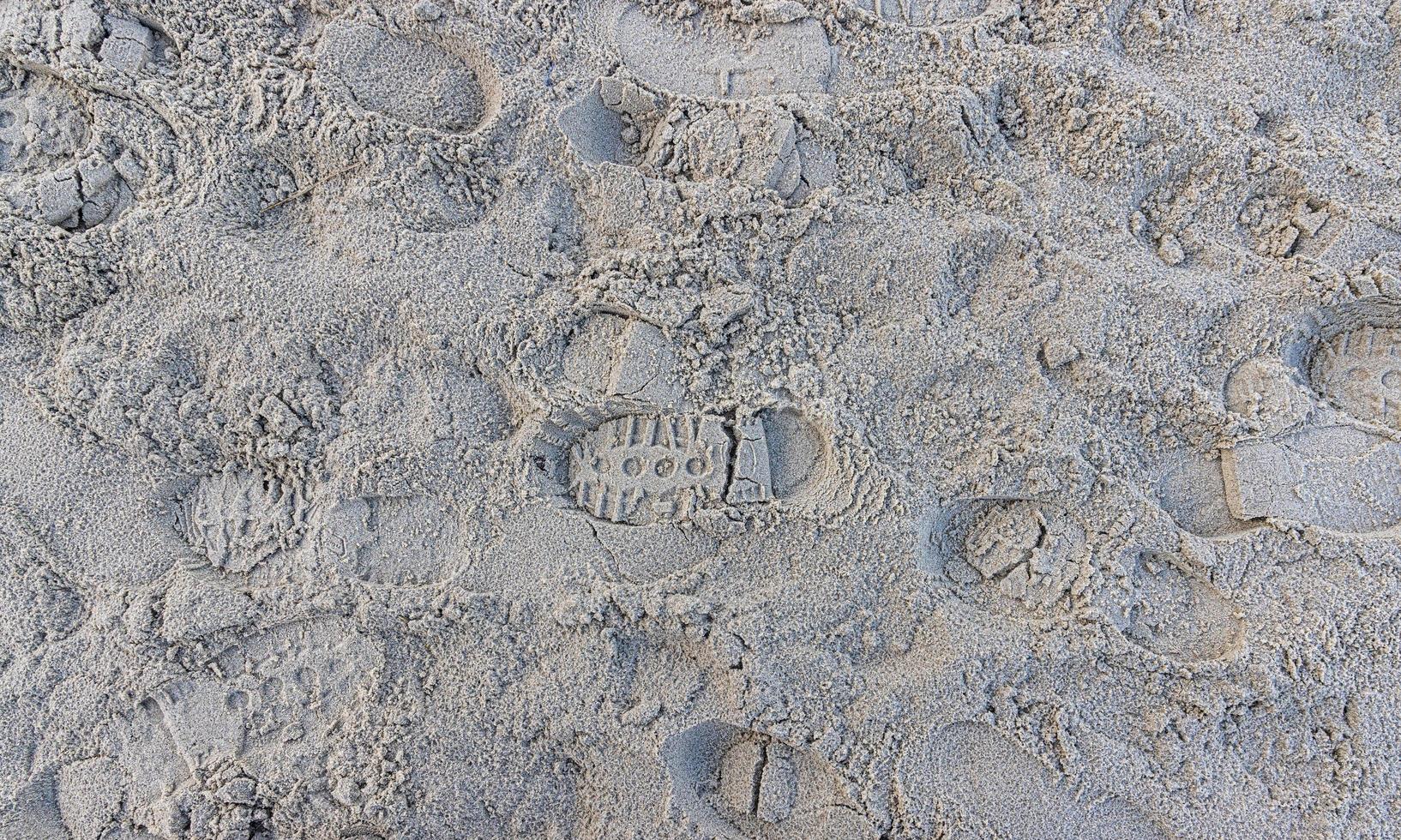 Image of footprints in the sand of a beach photo