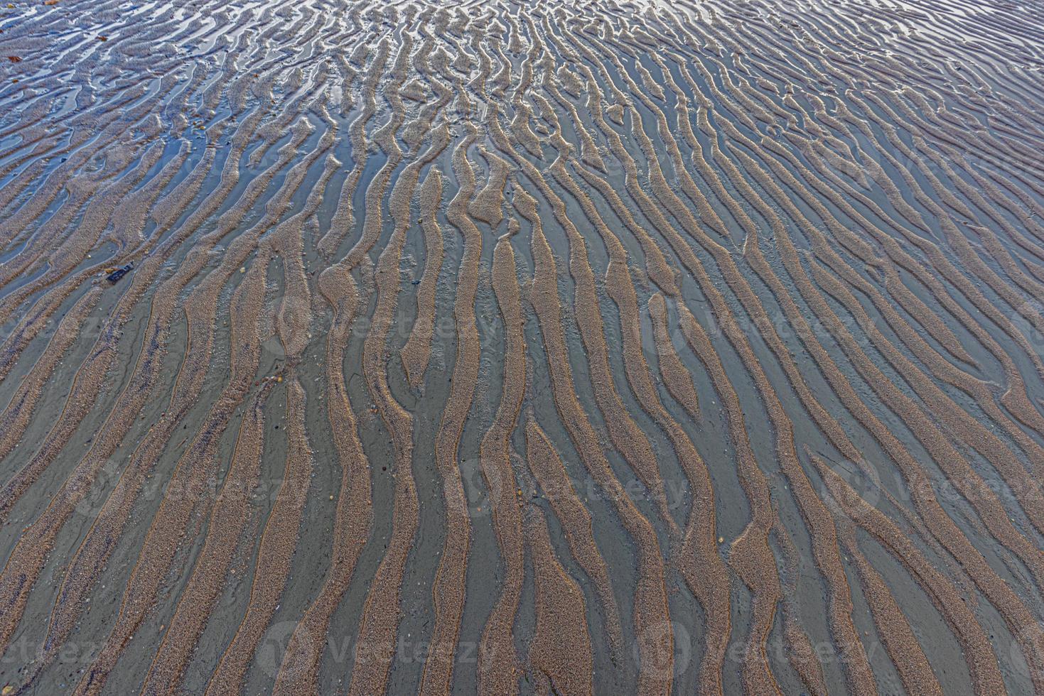 Image of shells and stones on a North Sea beach in Denmark in winter photo