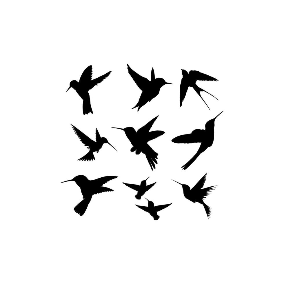 colección de iconos de silueta de colibrí vector