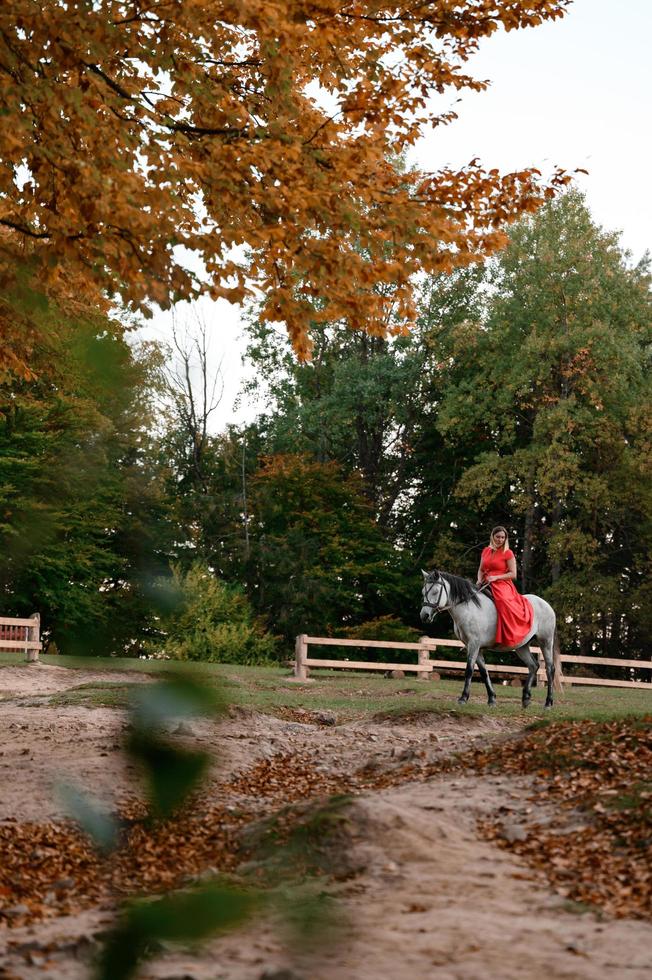 A woman in a red dress sits on a horse, an autumn walk in the forest. photo