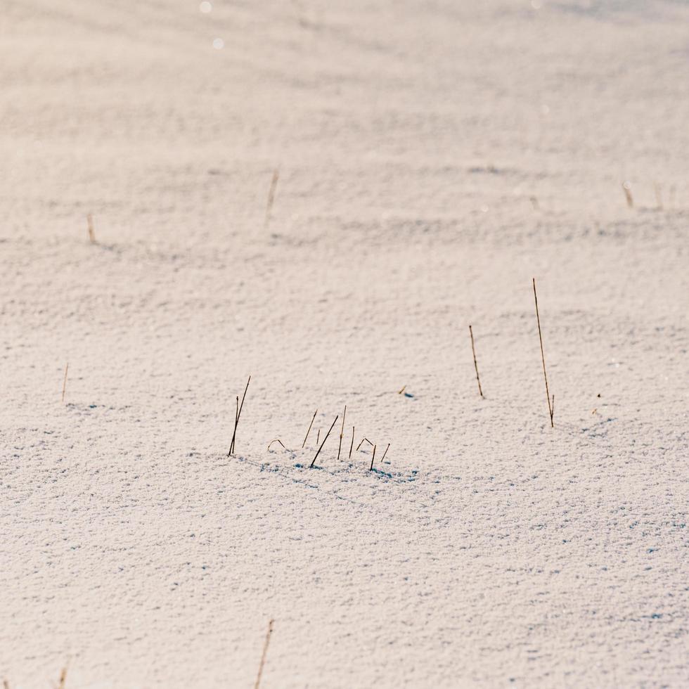 Sunny winter and frosty day, texture of white and clear snow. photo