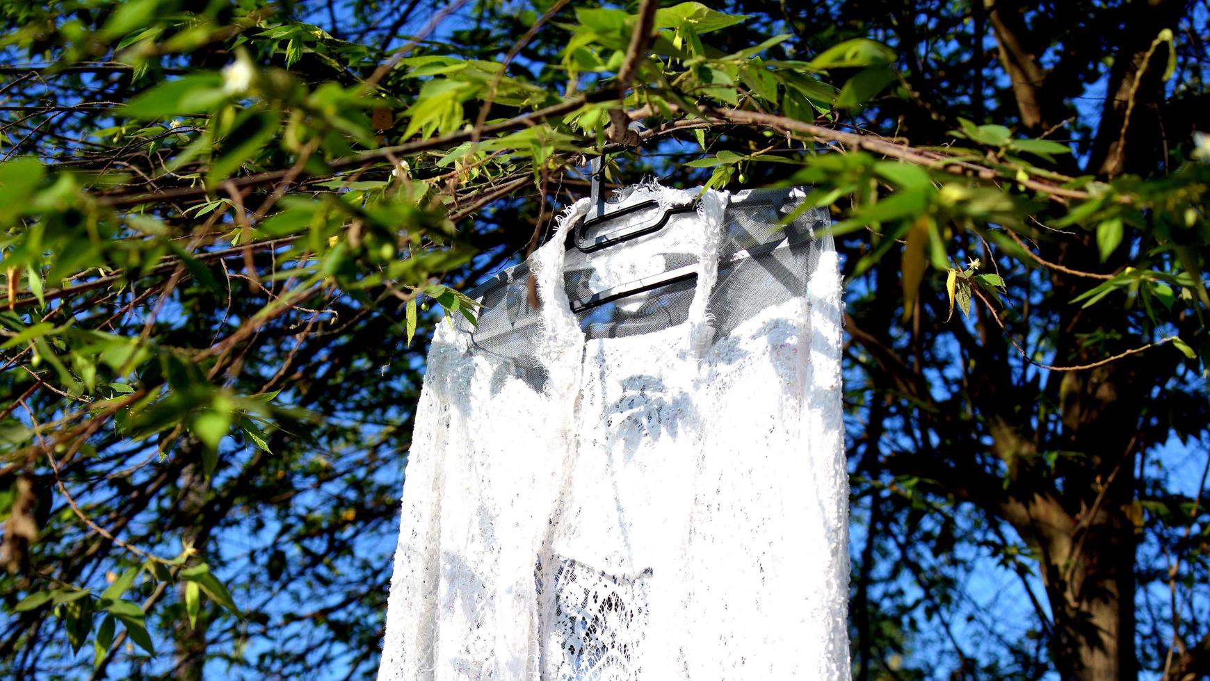 vestido de novia blanco colgado en un árbol foto