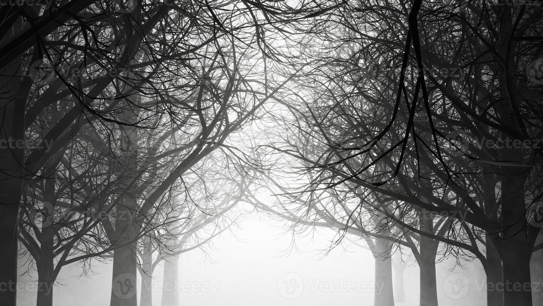 un paseo por un bosque oscuro y sombrío con niebla y polvo. ilustración de representación 3d. foto