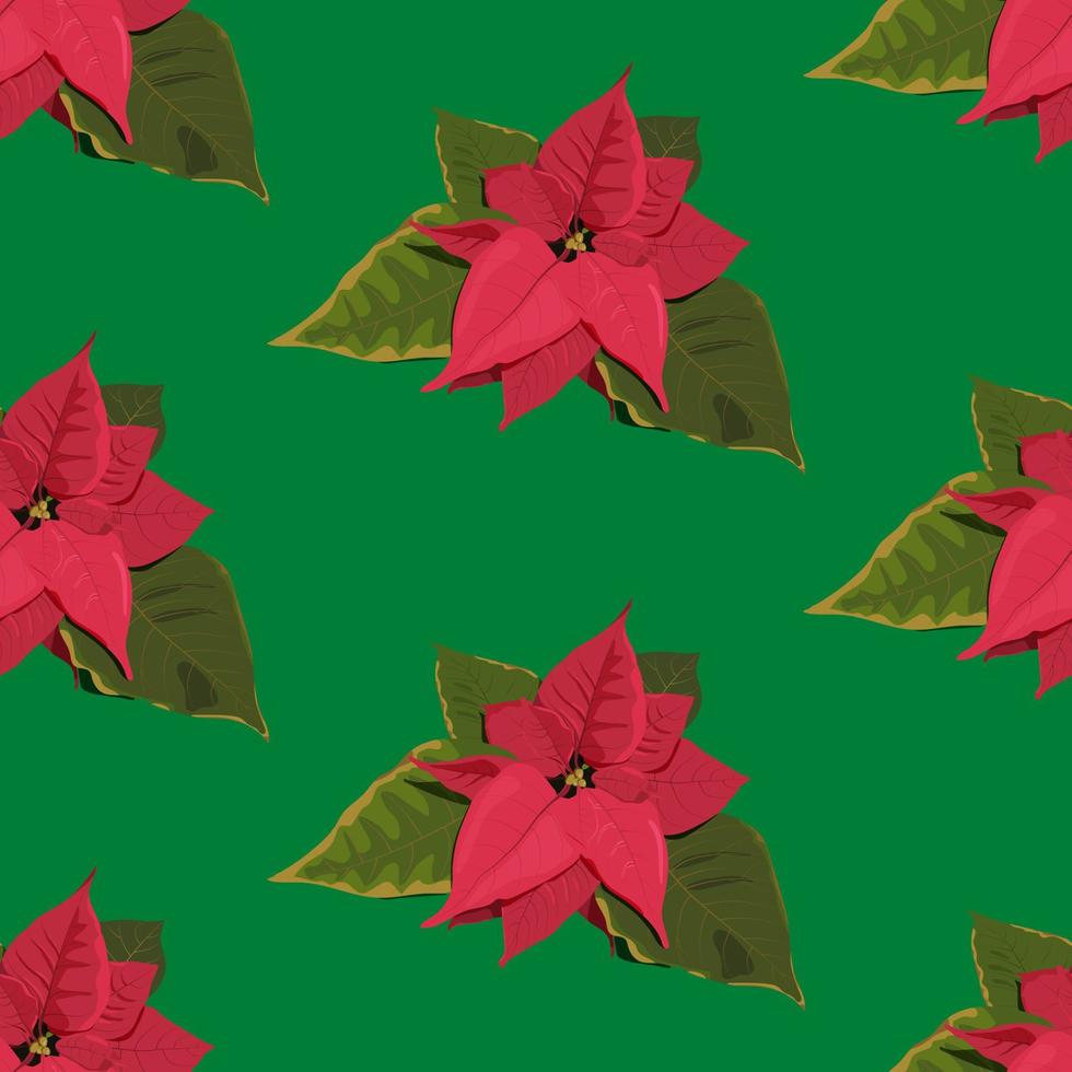 flor de nochebuena roja y hojas verdes en el fondo verde. decoración navideña de patrones sin fisuras. ilustración vectorial aislada en estilo plano. 16754193 Vector en Vecteezy flor de nochebuena roja y hojas verdes en el fondo verde. decoración navideña de patrones sin fisuras. ilustración vectorial aislada en estilo plano. 16754193 Vector en Vecteezy