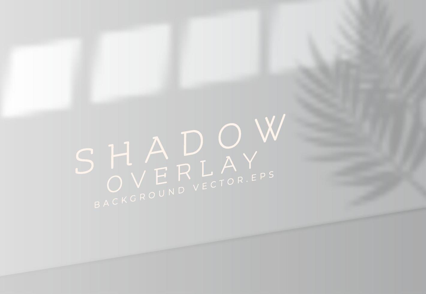 Realistic shadow overlay background with palm leaf silhouette vector