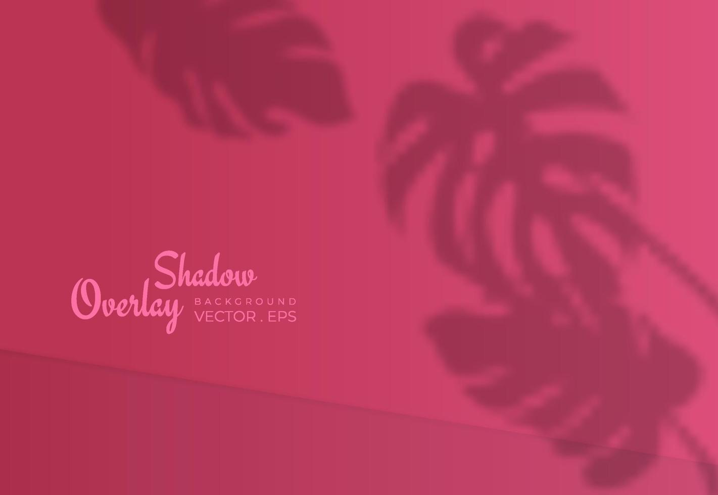 Shadow overlay background with monstera plant silhouette vector