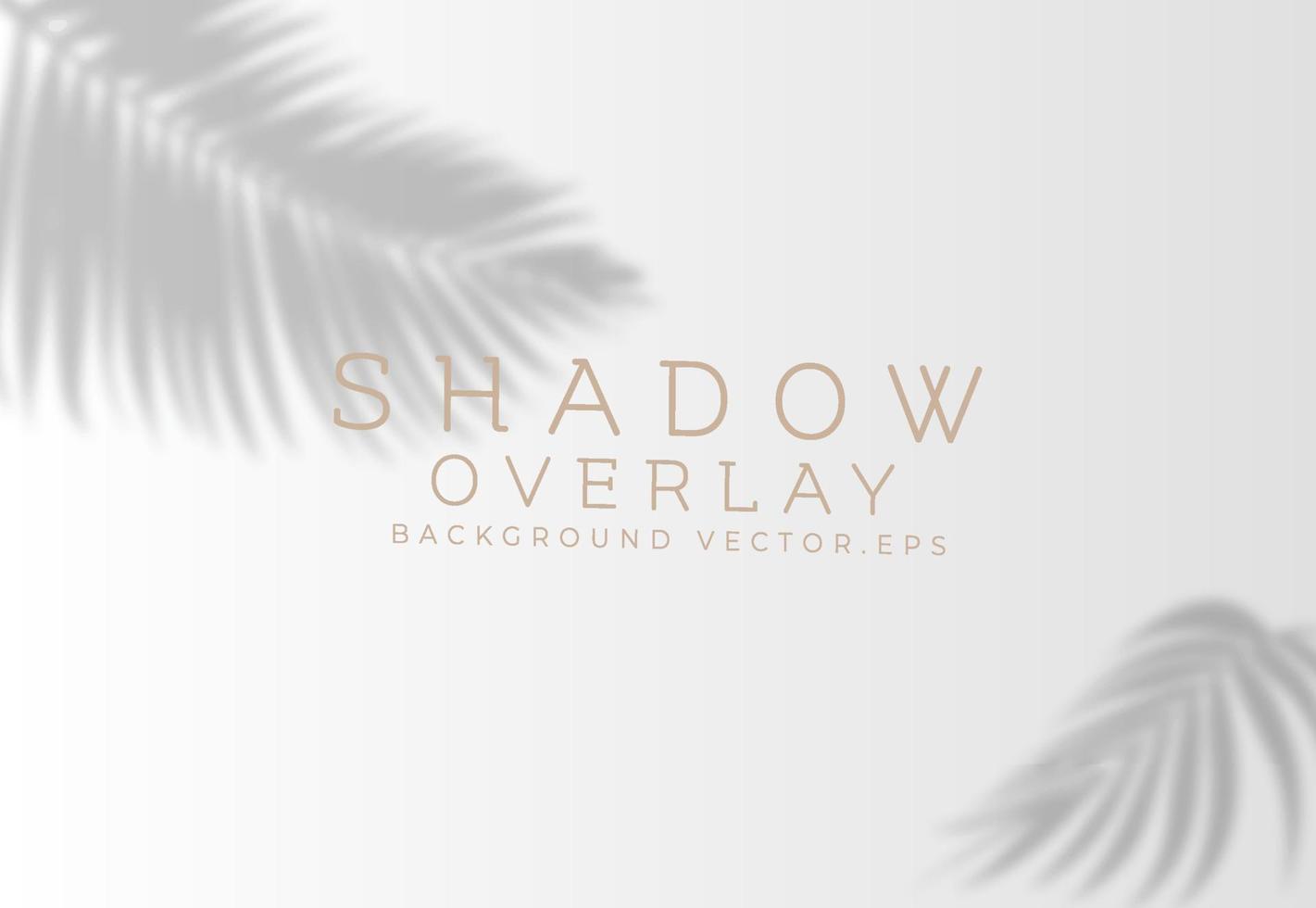 Shadow overlay background with coconut leaf shadow vector