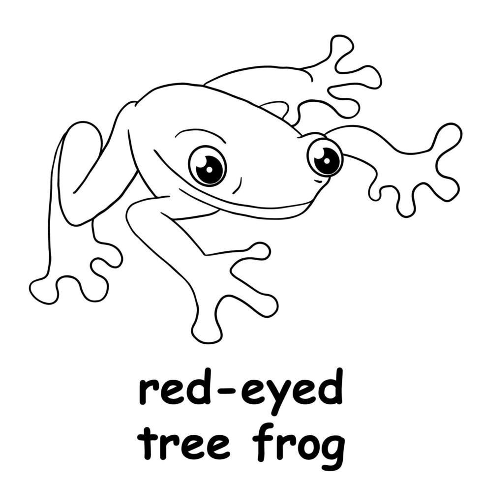 Red Eyed Tree Frog Coloring Page
