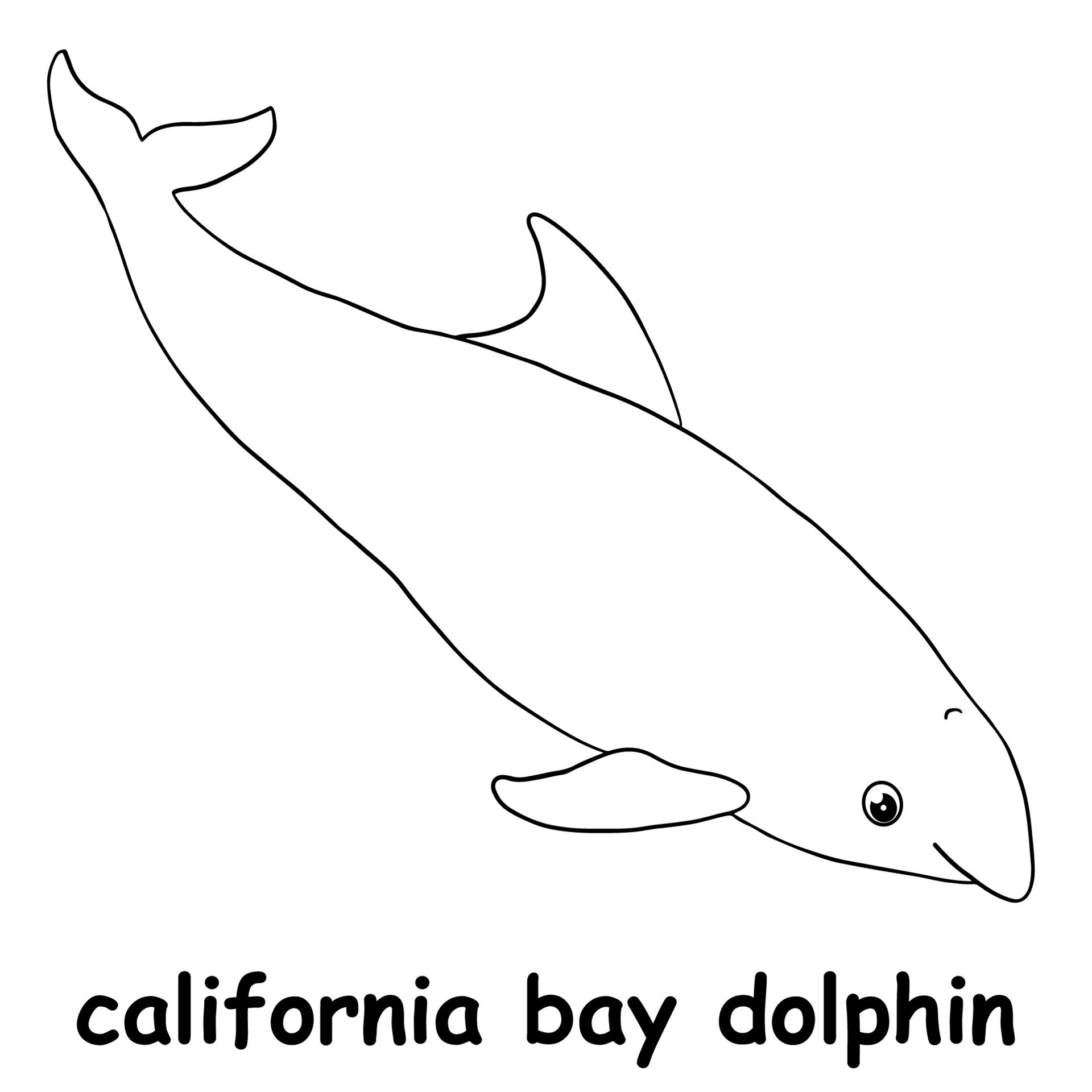 kids line illustration coloring california bay dolphin. outline vector for  children. cute cartoon characters 16754369 Vector Art at Vecteezy