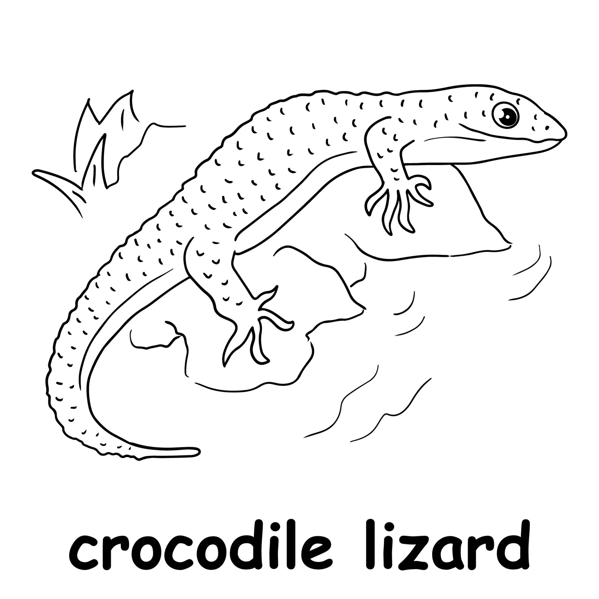 lizard-printable-outline
