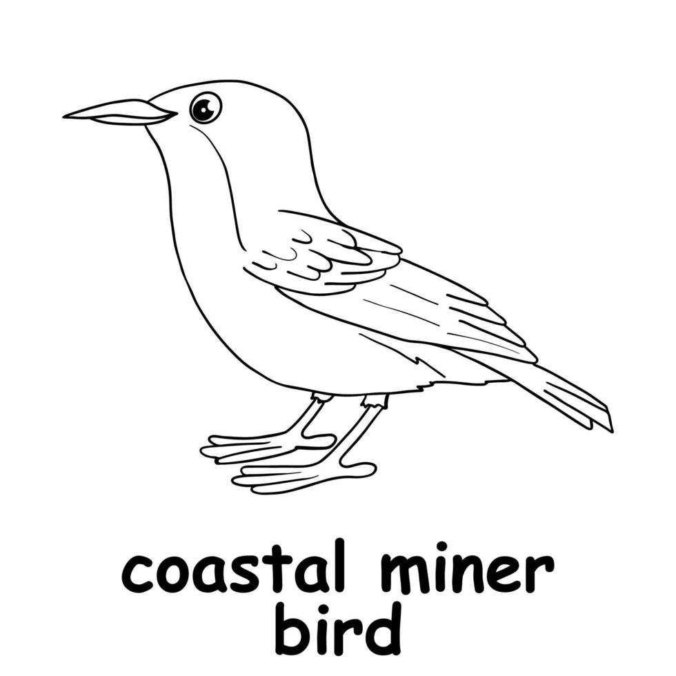 kids line illustration coloring coastal miner bird. outline vector for  children. cute cartoon characters 16754376 Vector Art at Vecteezy