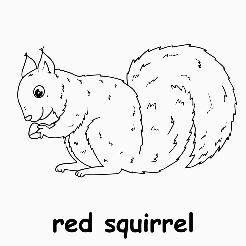 kids line illustration coloring red squirrel. outline vector for children.  cute cartoon characters 16754425 Vector Art at Vecteezy