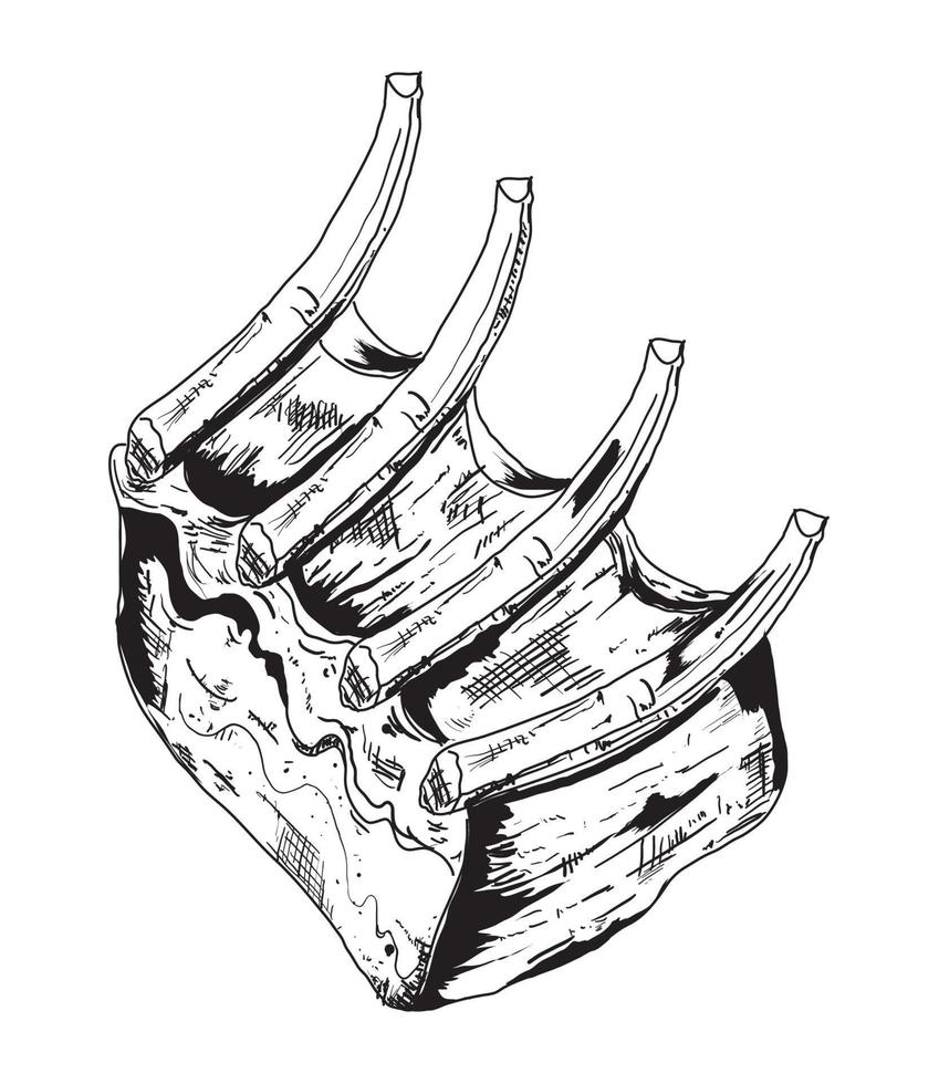 boceto de costillas de cerdo a la barbacoa vector