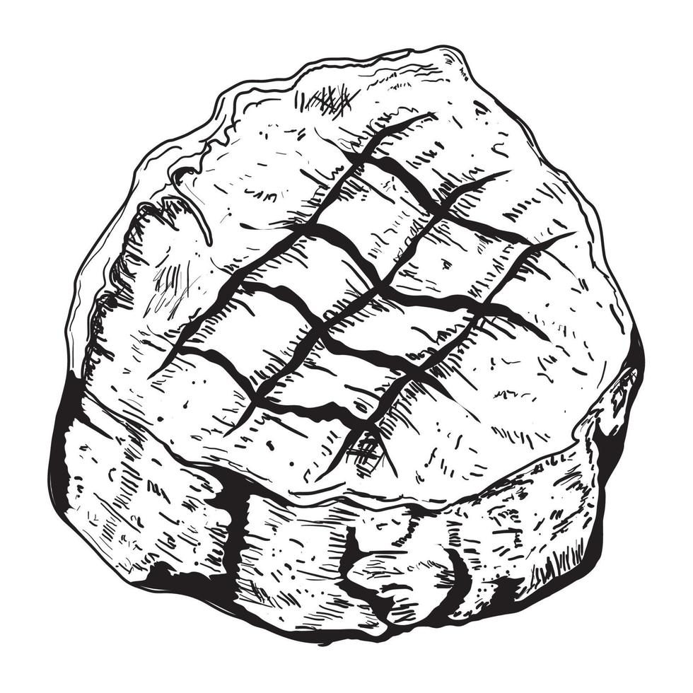 meat bbq sketch vector