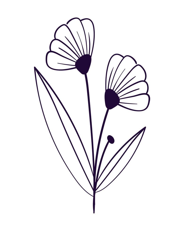 doodle flower and leaf vector