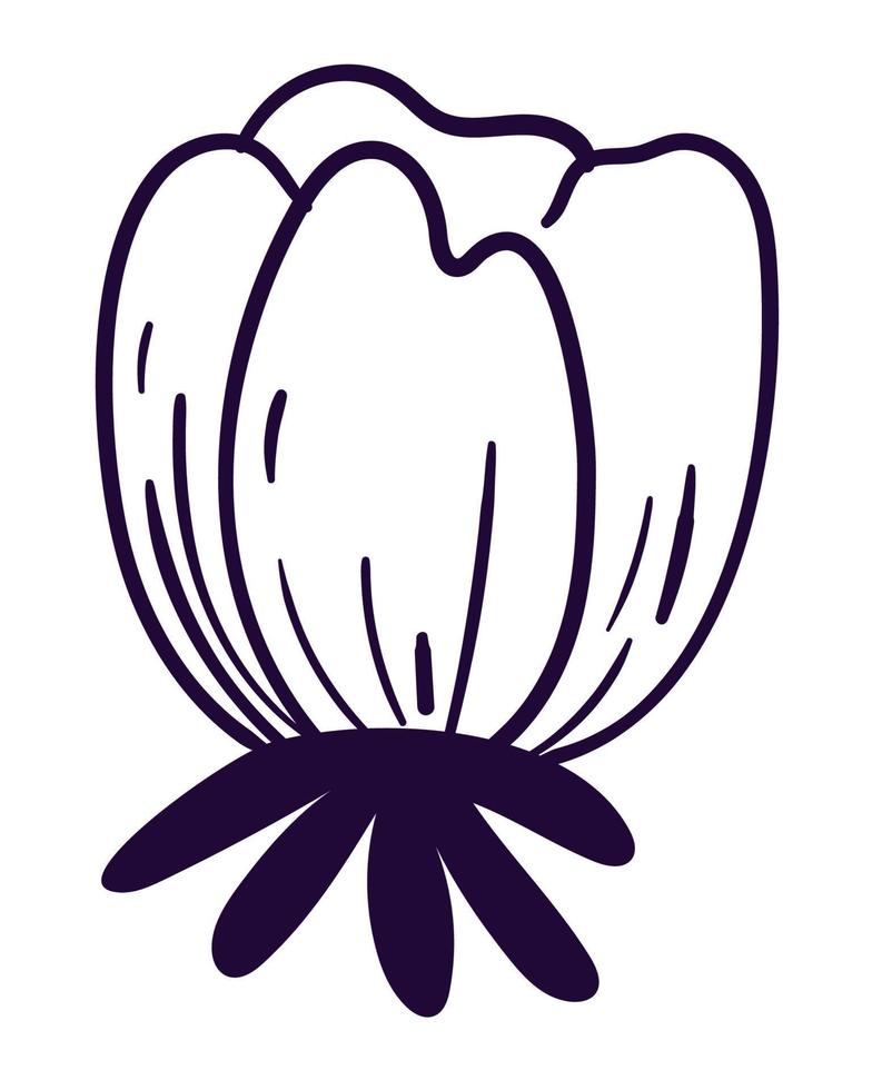 doodle flower flat vector
