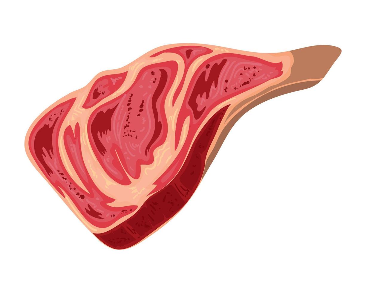 meat lamb chop vector