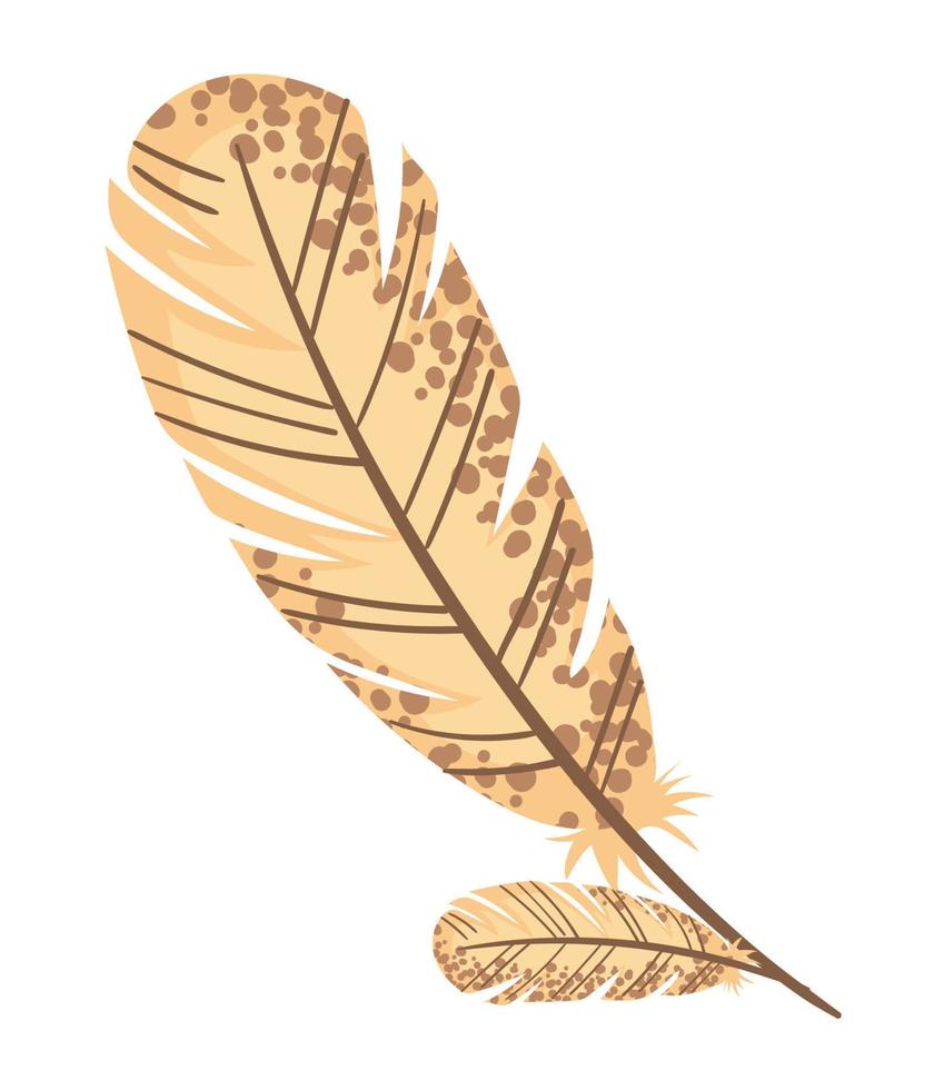 feathers ethnic tribal vector