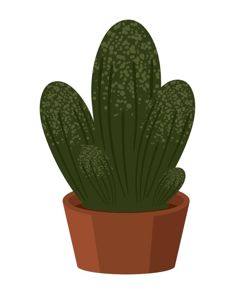 houseplant succulent icon vector
