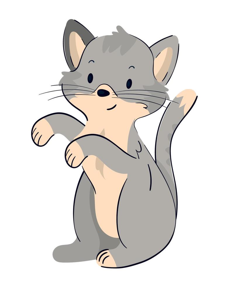 cute cat animal vector