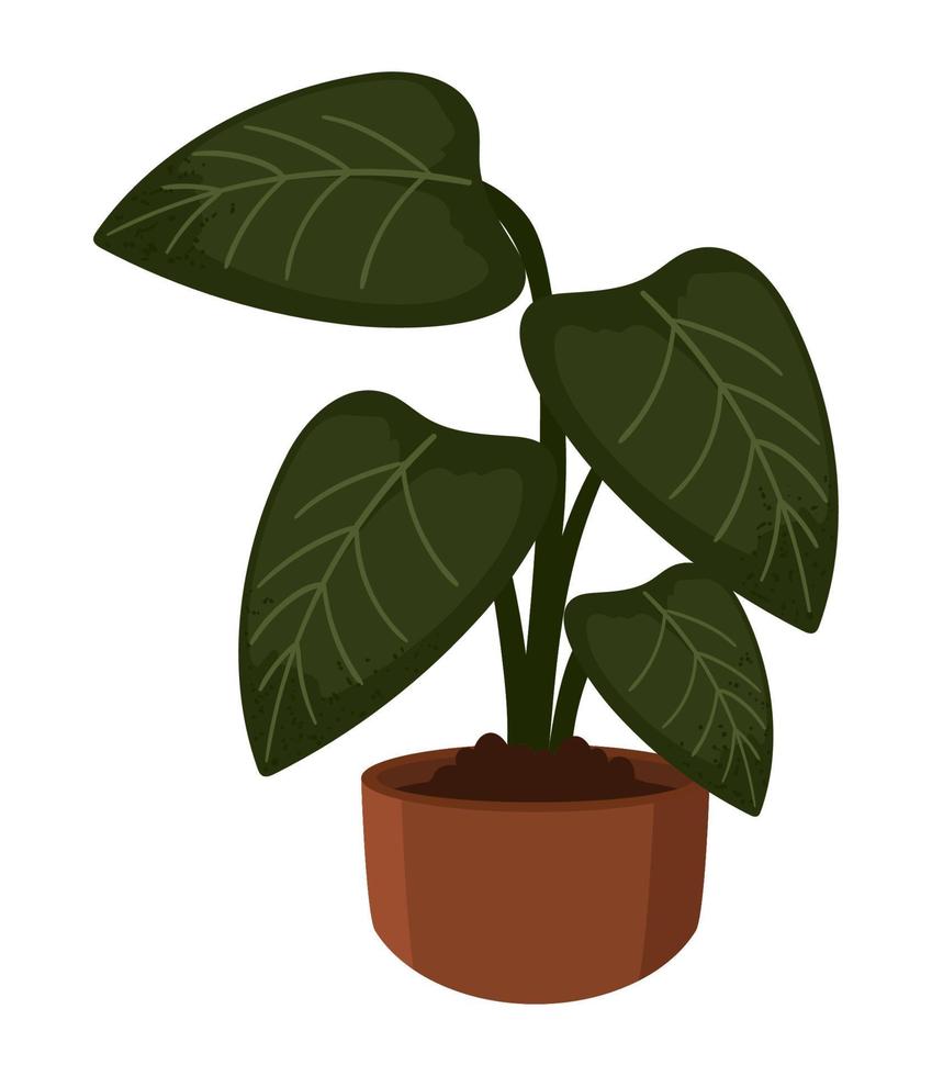 plant in pot vector