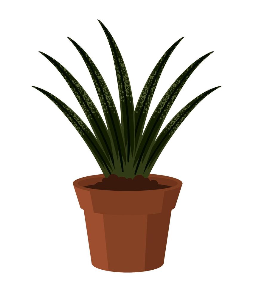 succulent houseplant icon vector