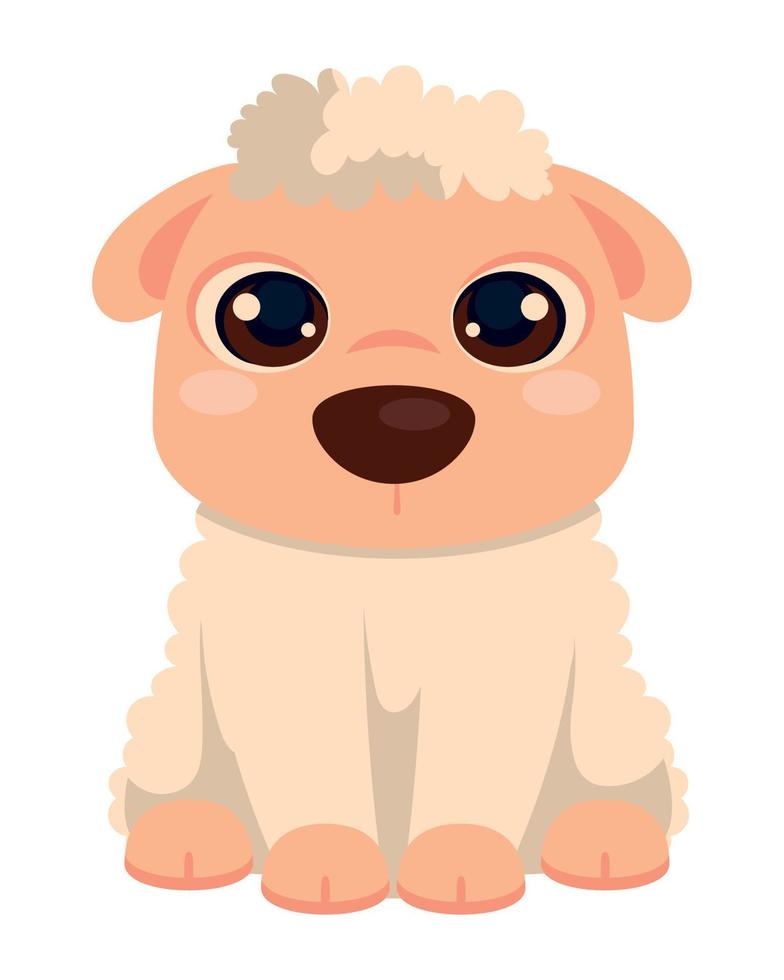 sheep cute animal vector