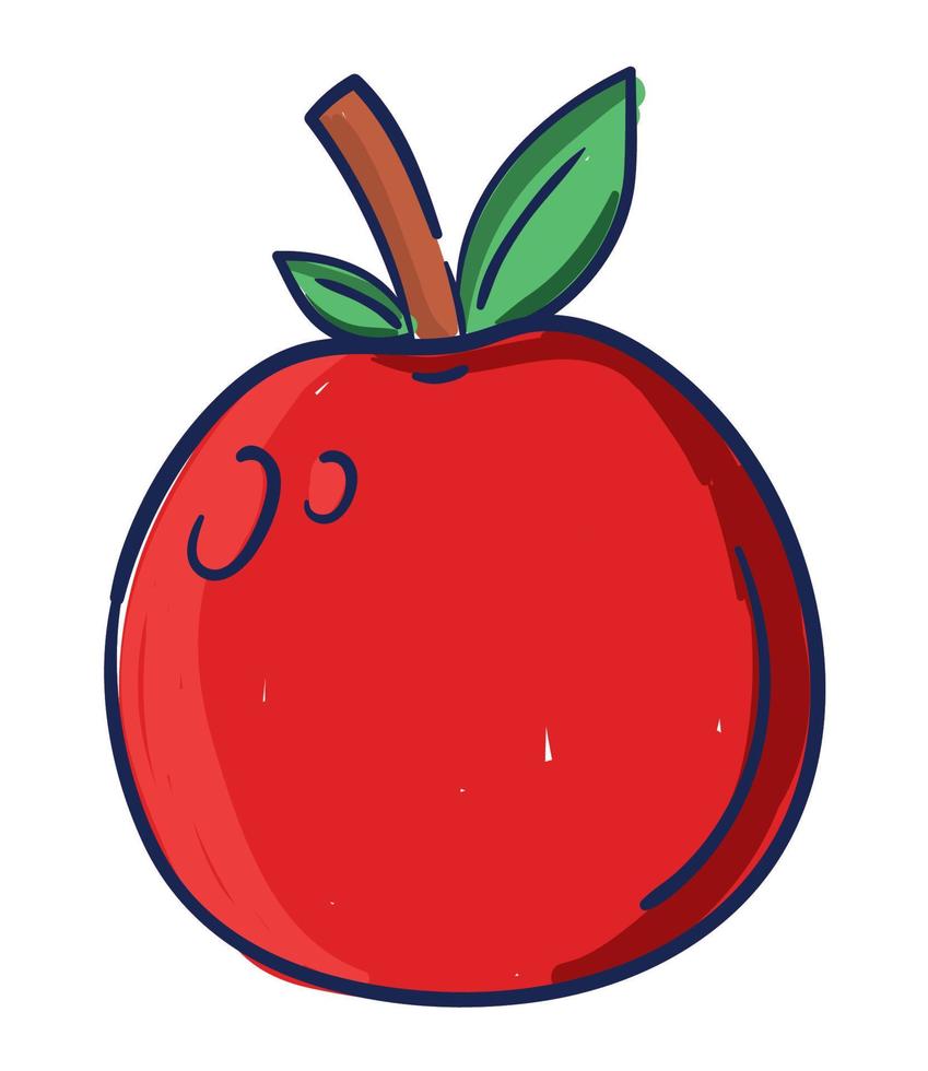 apple fruit icon vector