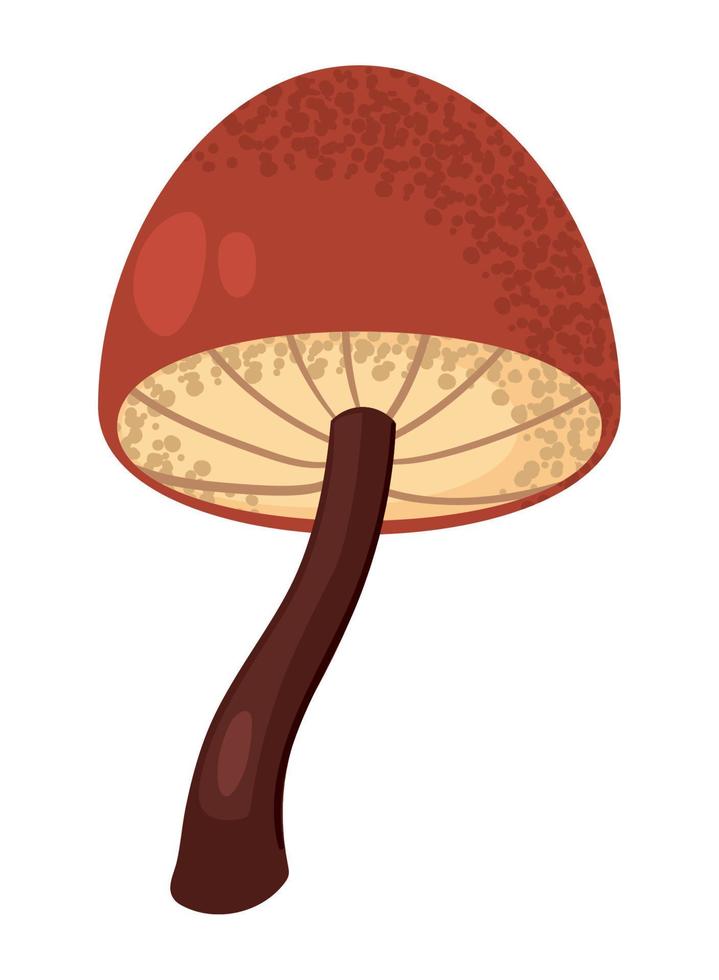 mushroom wild icon vector