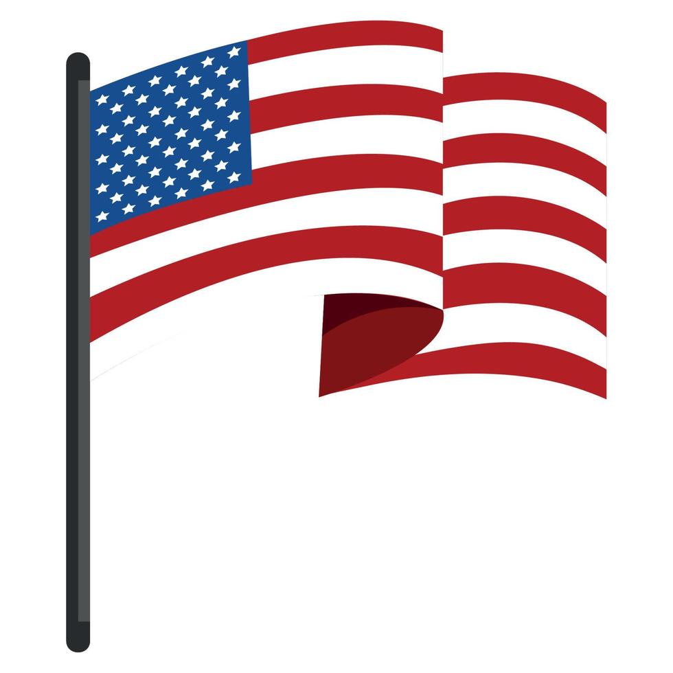 US flag national vector