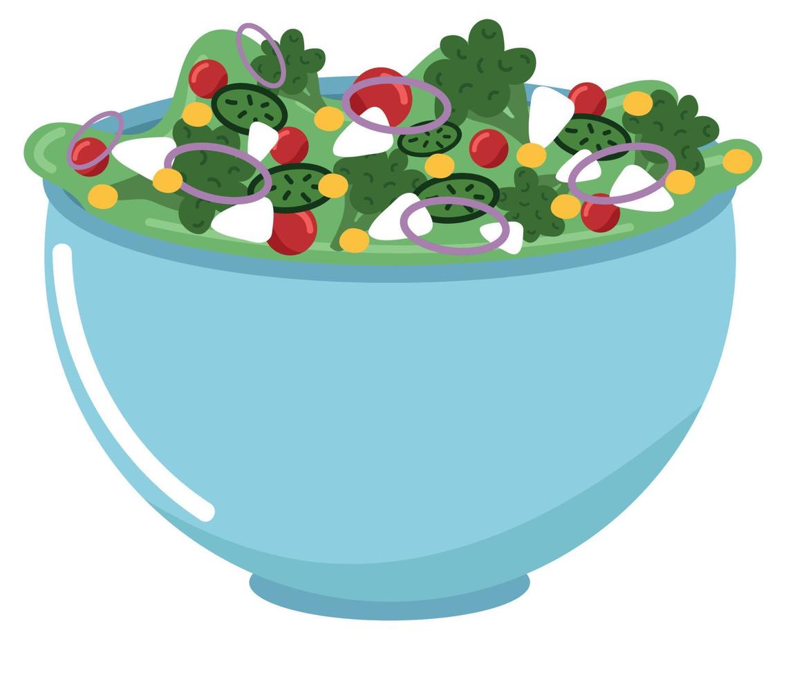 salad vegetarian icon vector