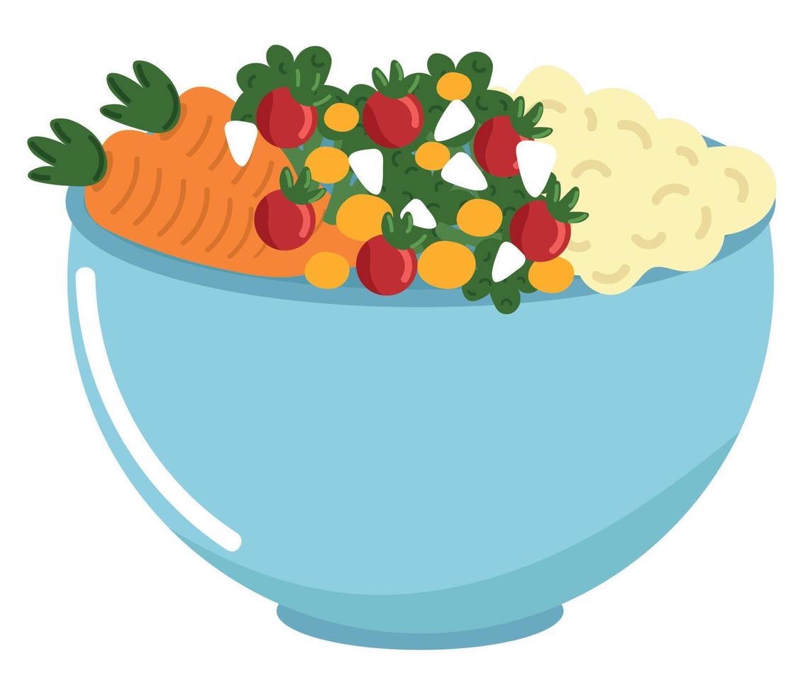 vegetarian salad icon vector
