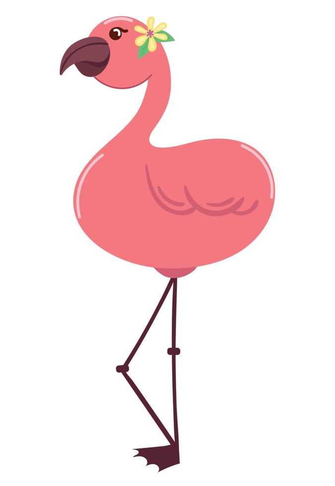 flamingo bird tropical vector