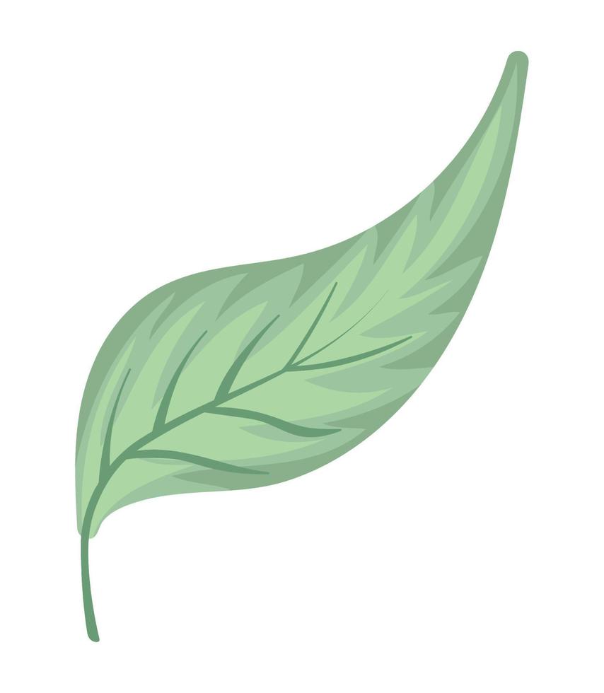 leaf isolated icon vector