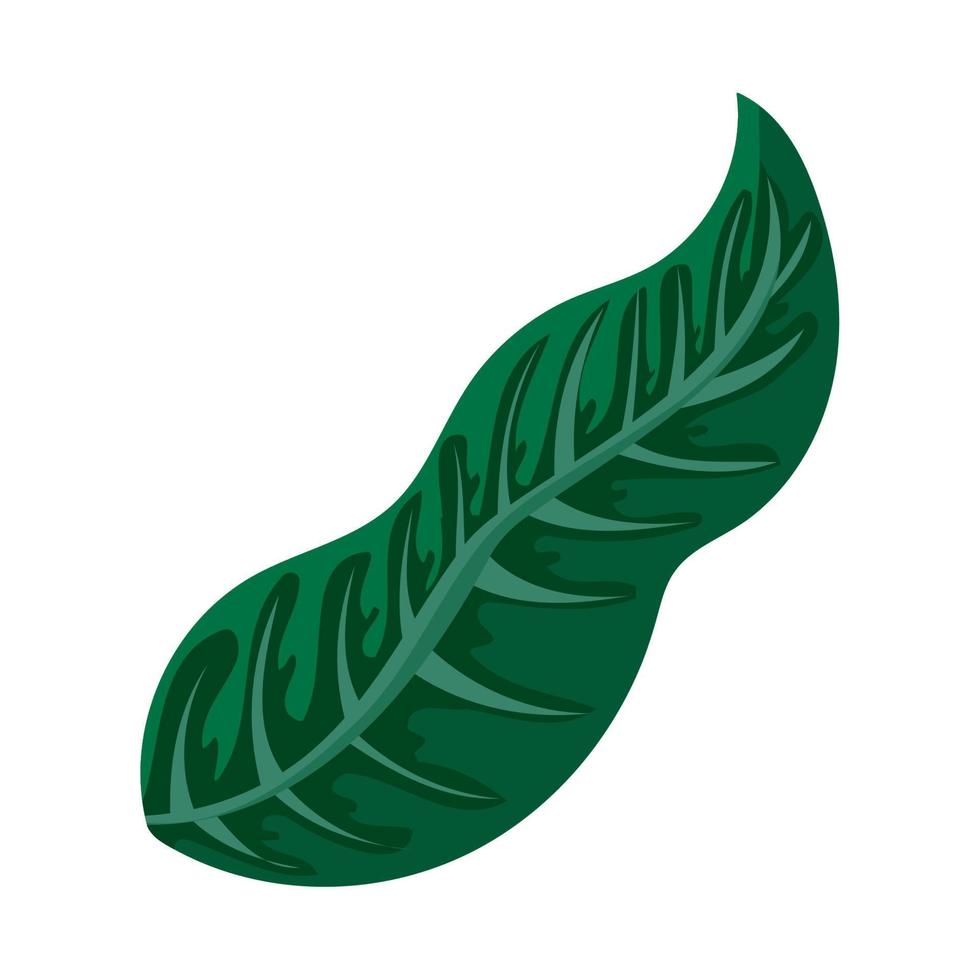 leaf vector design