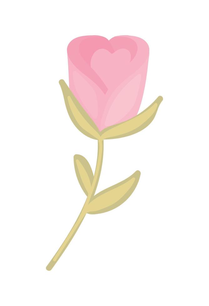 flower rose icon vector