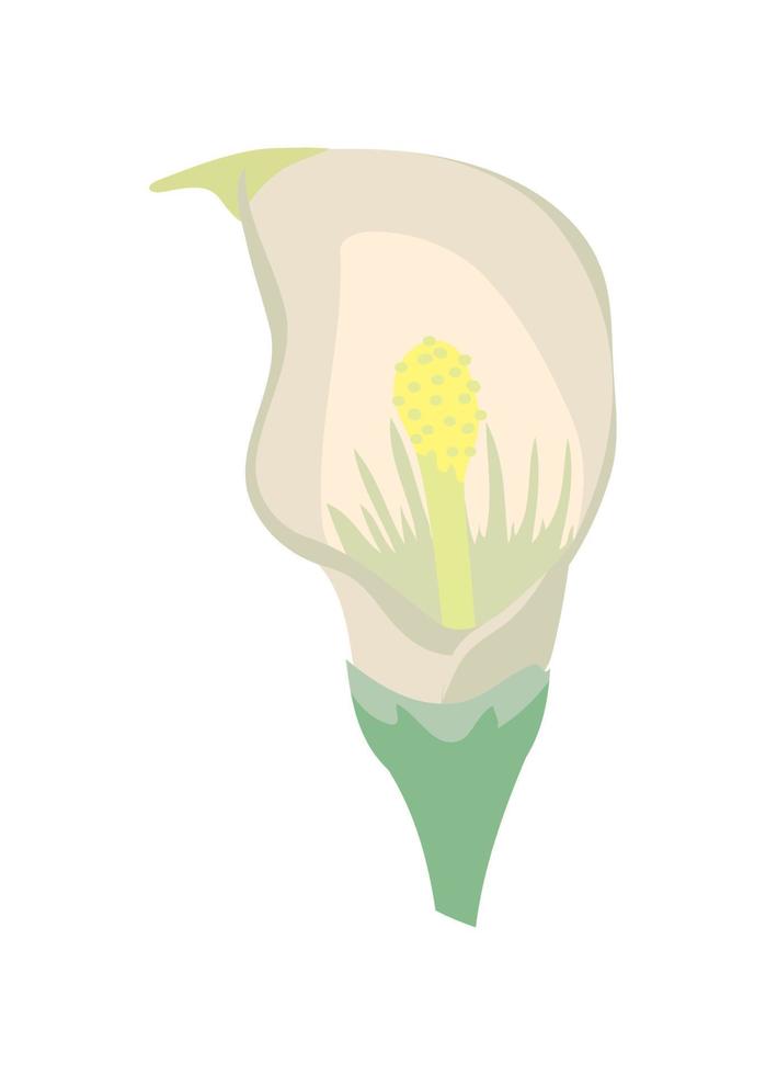 icono de flor exótica vector