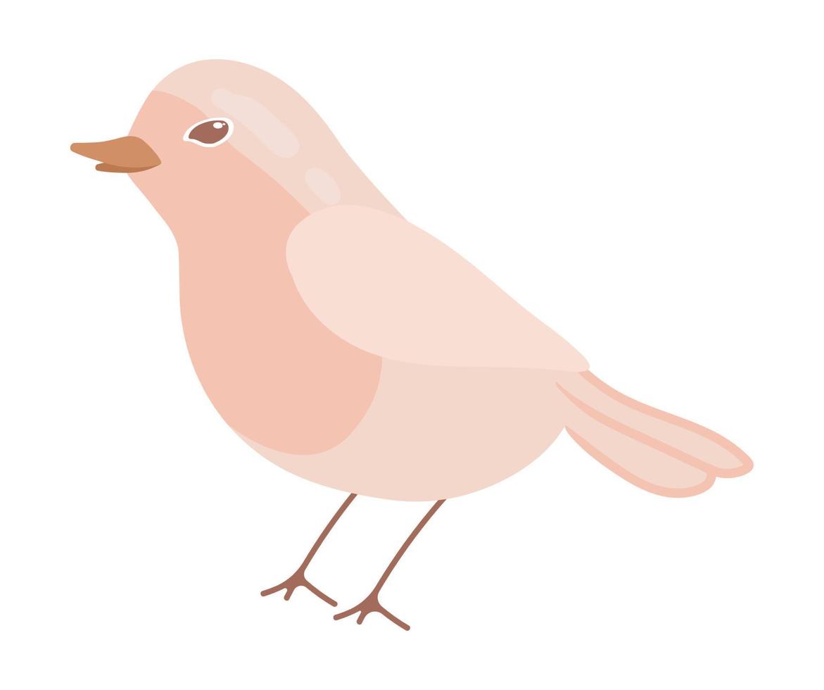 cute cartoon bird vector