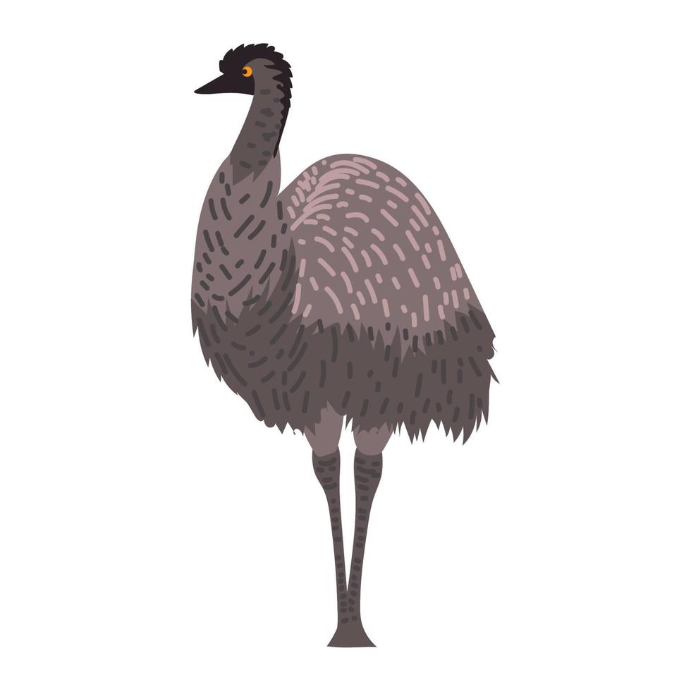 emu bird icon vector