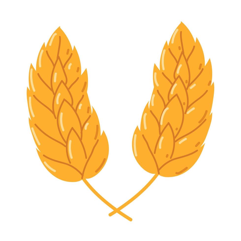 wheat spikes icon vector