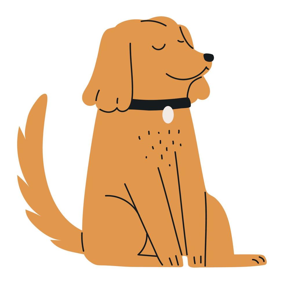 pet dog with collar vector