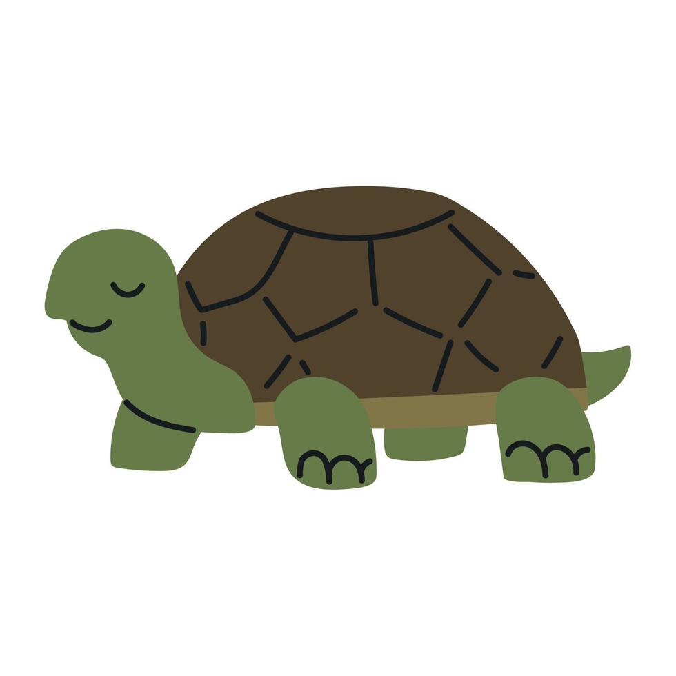 icono de animal tortuga vector