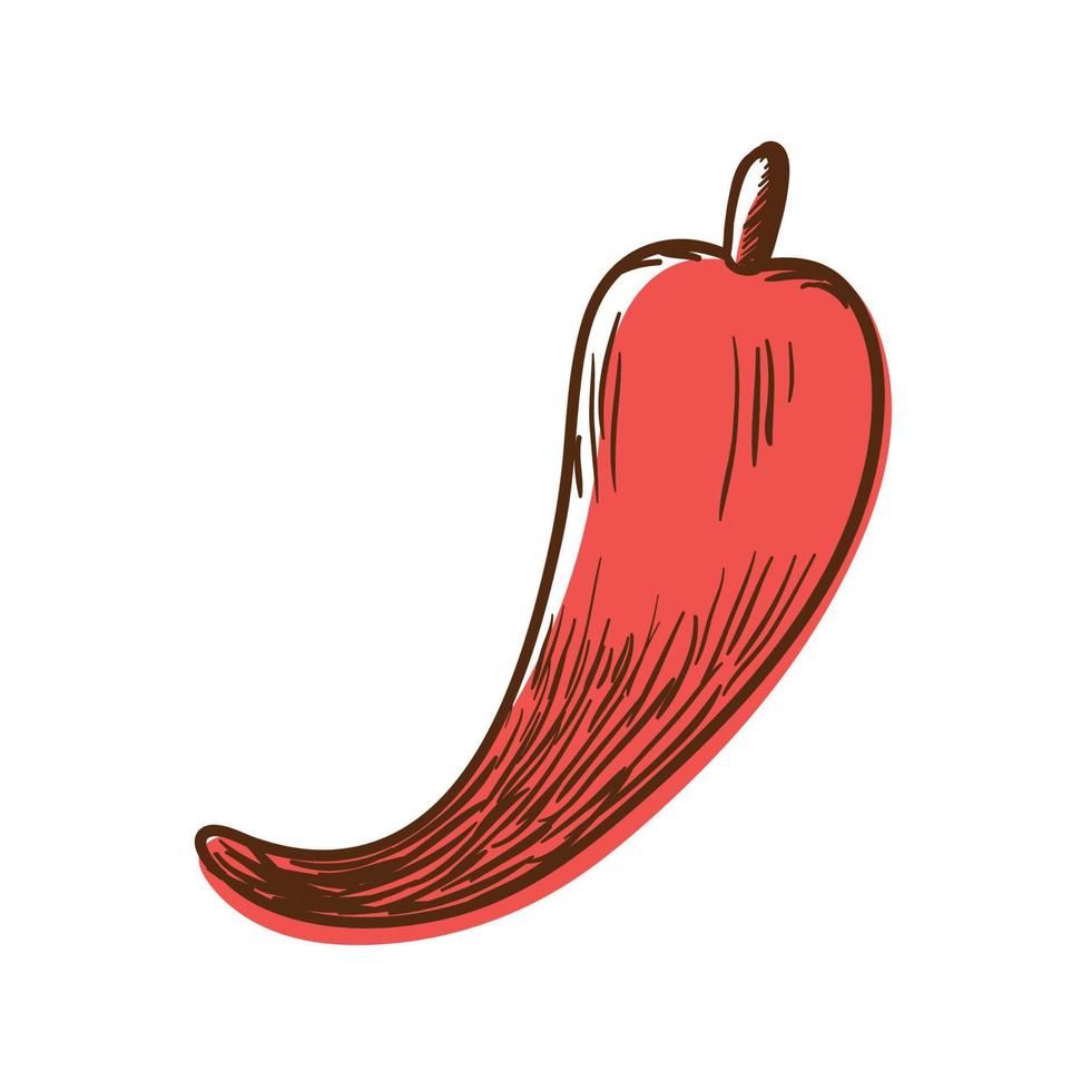 chili pepper icon vector