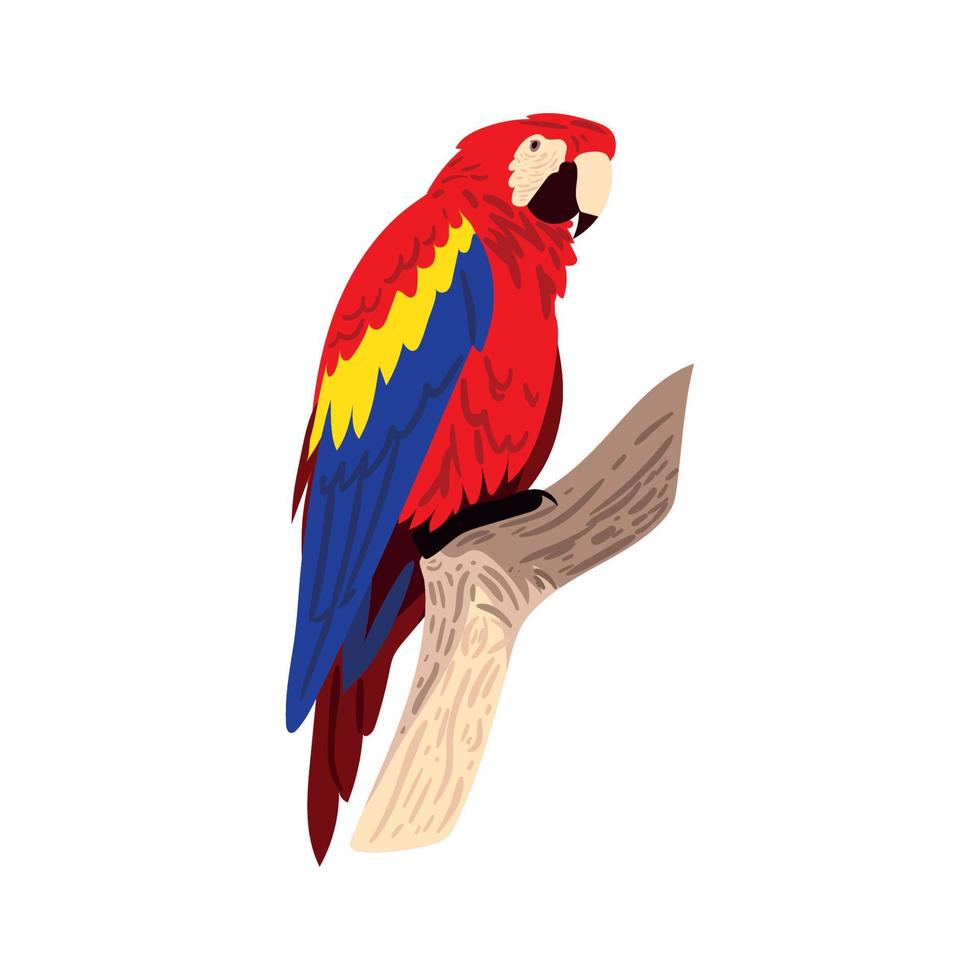 guacamayo en rama vector