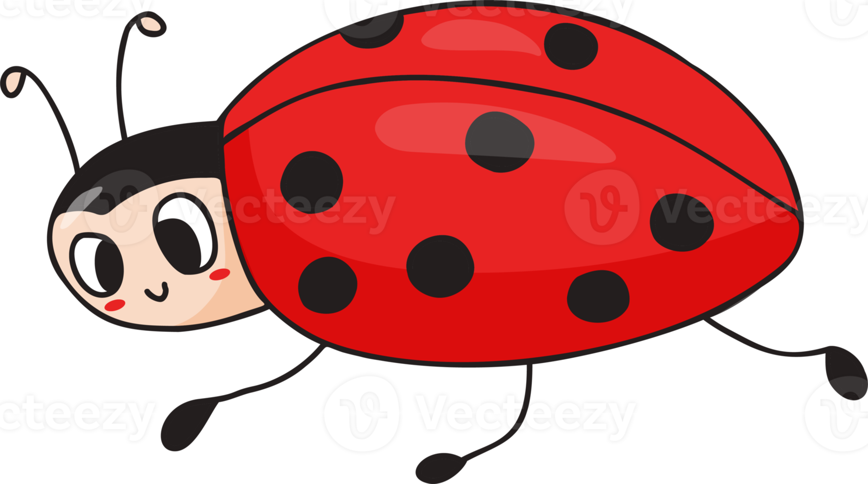 Small insect . small insect png