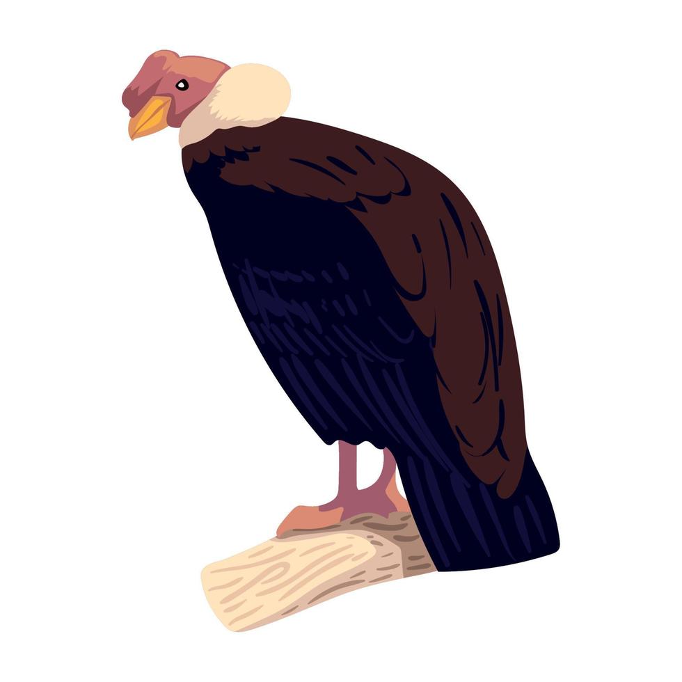 pájaro cóndor andino vector