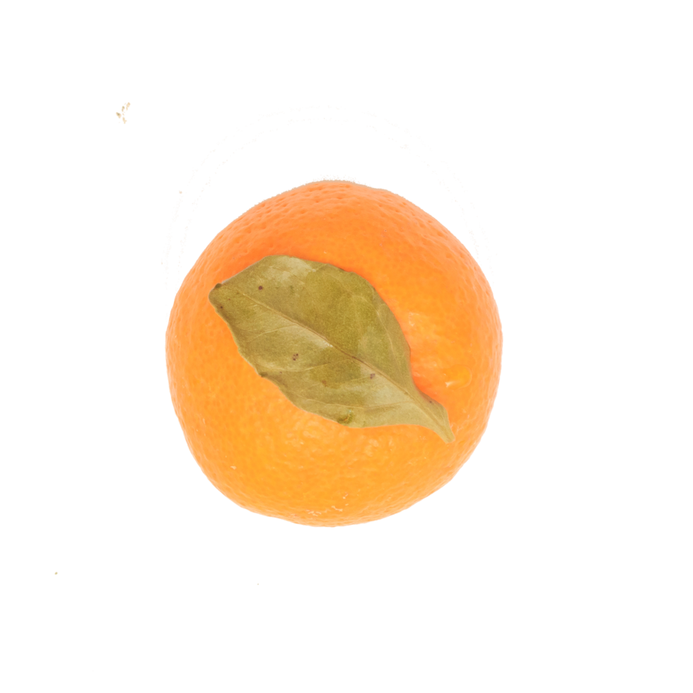 one tangerine with green leaf isolated png